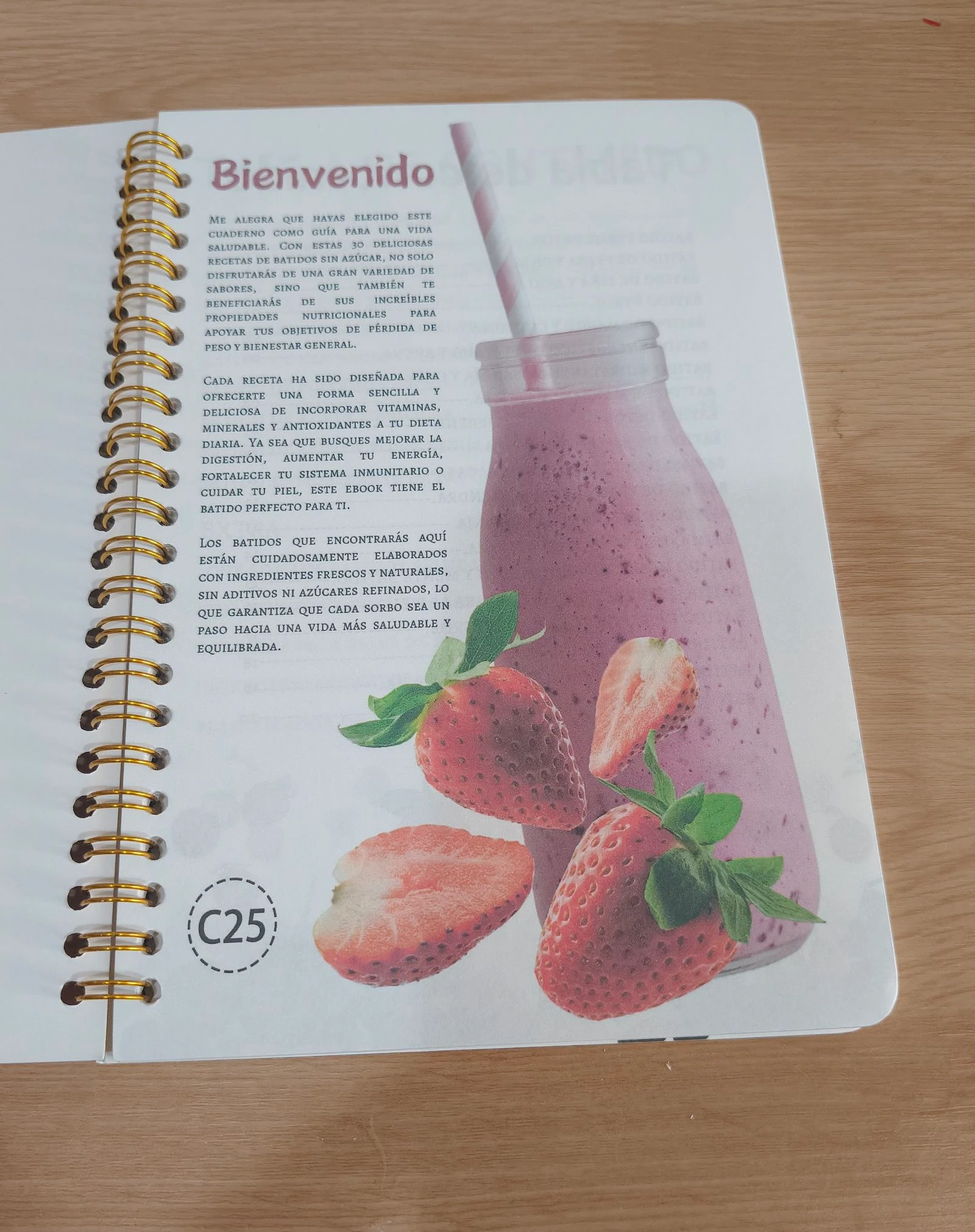 Manual de bebidas sin azúcar recetas saludables, Nuevo – photo 2